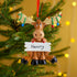Personalised Family Christmas Xmas Tree Decoration Ornament - Reindeer in Lights