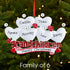 Christmas Ornament - Personalised Family Christmas Xmas Tree Decoration Ornament - Grandchildren